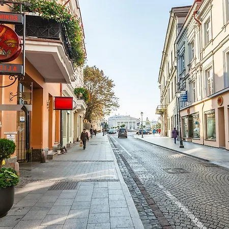Didzioji Street فيلنيوس